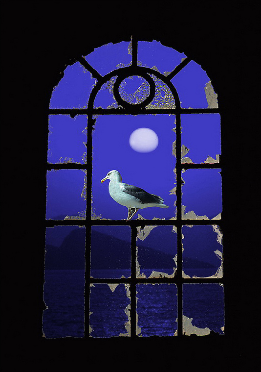 Möwe Fenster_Bildgröße ändern.jpg